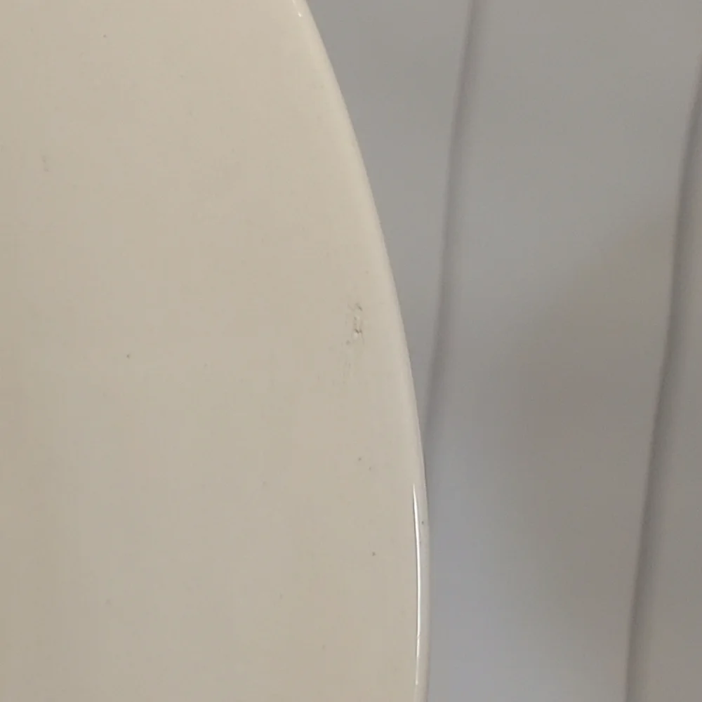 NWOT 2 Pier 1 Blue and White Leaf Trim Plates